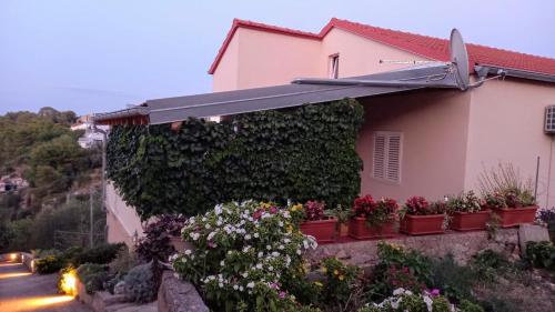  Apartments by the sea Sali, Dugi otok - 8117 in Sali