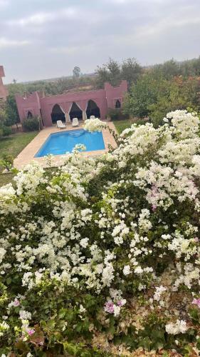 Elegant Villa in Marrakech with Private Pool - image 10