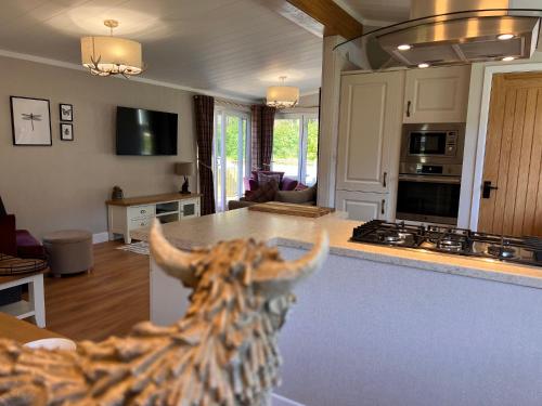 Hollicarrs - Dragonfly Lodge Hollicarrs - Dragonfly Lodge