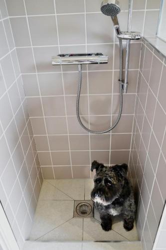 Hollicarrs - Dragonfly Lodge Hollicarrs - Dragonfly Lodge