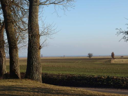 Landhaus am Haff_ Wohnung B 8