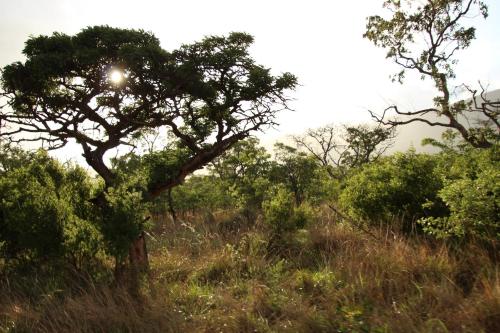 Sofala Lodge