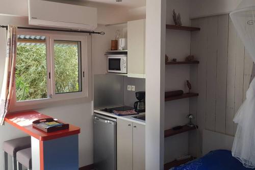 Studio moderne climatisé avec jardin, plage à pied 1