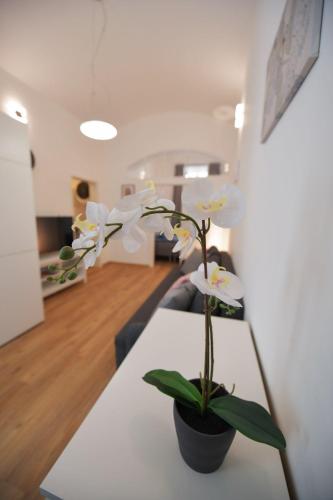 Pat & Mat Apartment, Praha (fotografie 9)