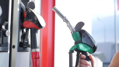 Foto - Holiday Inn Express Tampa North Telecom Park by IHG