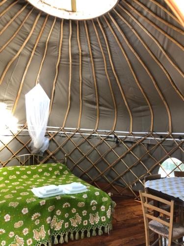 Family Treehouse Yurt in Nature Reserve with Pool and outdoor kitchen in Cocullo
