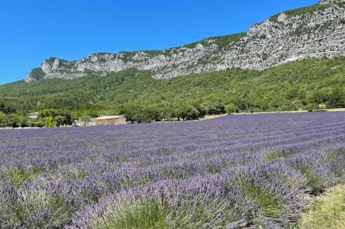 Boulevard de Provence