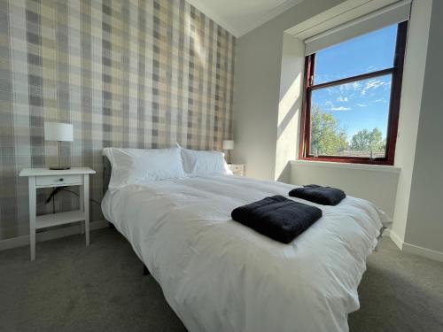 The Haven in Greenock