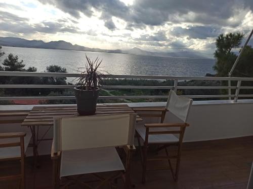 Atlas Endless Blue Apartment in 오아시스 (로우트라키 페라코라)