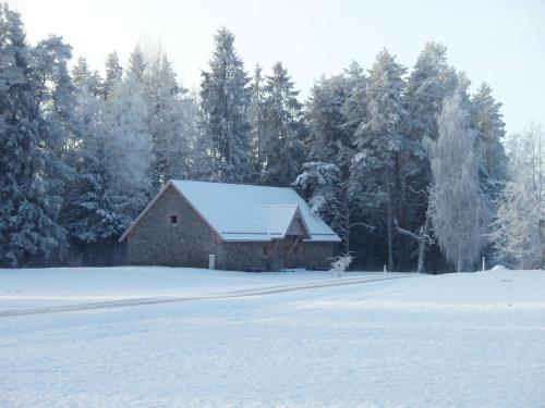 Roosu Talu Accommodation - image 6
