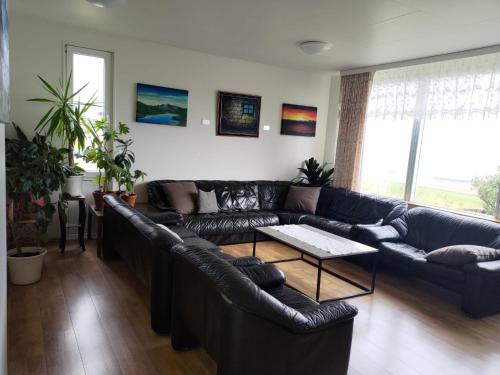 Rauðsdalur in Brjanslaekur