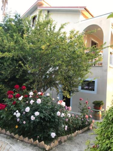 B&B La casa di g.g. – Grottammare, MO