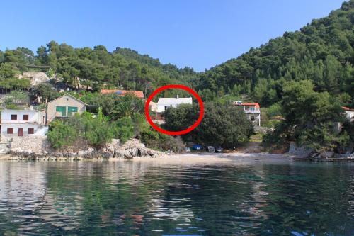 Seaside secluded apartments Cove Rapak Hvar - 8767 Gdinj