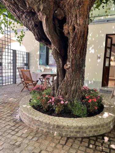 สวน, Antica locanda al Gelso near สนามบินตริเอสเต-ฟริอูลิ เวเนเซีย จูเลีย