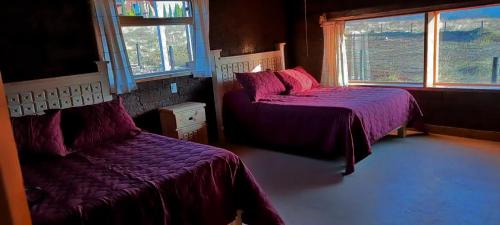 1 king bed, 6 double beds, 1 sofa bed