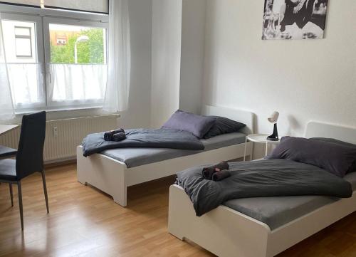 Cozy Apartments in Zwickau