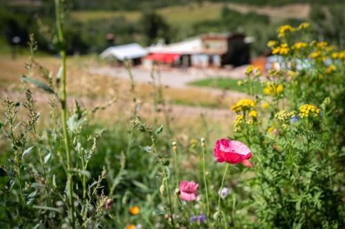 Brettelberg Slopeside Condos F7 Brettelberg Slopeside Condos F7