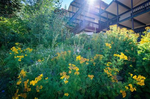 Brettelberg Slopeside Condos F7 Brettelberg Slopeside Condos F7