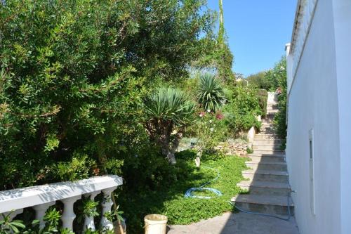 Apartments by the sea Milna, Vis - 8944