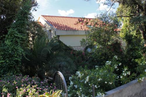  Studio Zaton Veliki 9054a in Zaton
