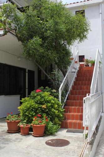Apartments with a parking space Cavtat Dubrovnik - 8993 - image 7