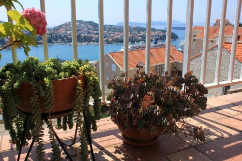 Apartments with WiFi Dubrovnik - 8975 - image 5