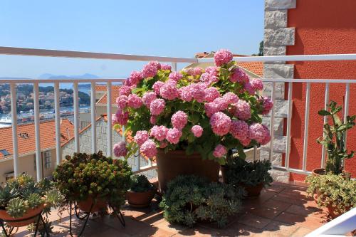 Apartments with WiFi Dubrovnik - 8975 - image 9