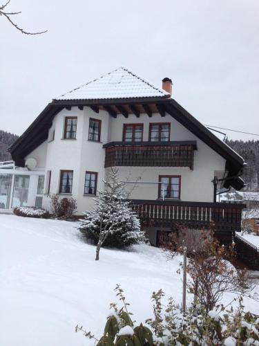 Wunderschöne Ferienwohnung im Haus Schupp mit bester Aussicht - Apartment - Wittenschwand