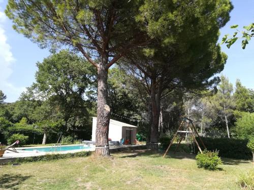 Charmant gîte nature au pied du Luberon - Saint-Martin-de-la-Brasque