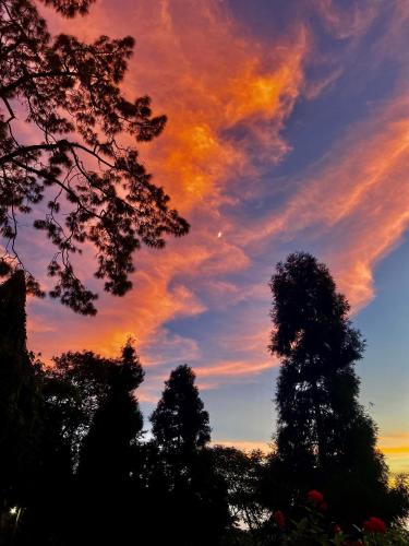 สภาพแวดล้อมโดยรอบ, 11 Monteviot: Luxury homestay overlooking a tea estate in เคอร์ซอง