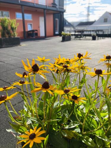 Flotmyrgården Apartment Hotel - image 8
