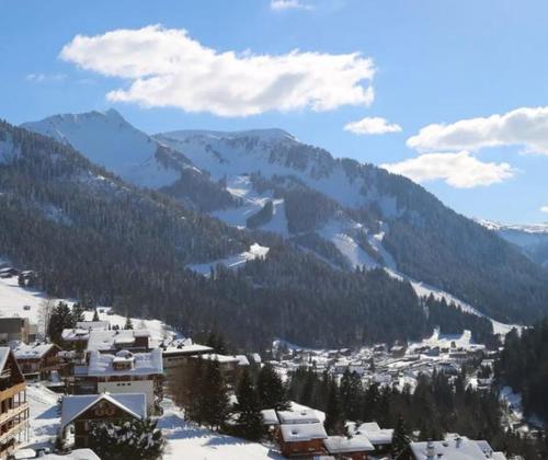 Chatel au pied des pistes - Location saisonnière - Châtel