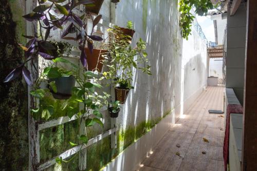 Garden, Cantinho especial in Varzea