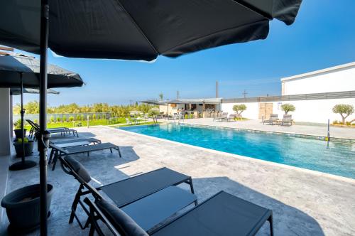 Antesia Coral Bay Resort by Ezoria Villas - Adults only 5