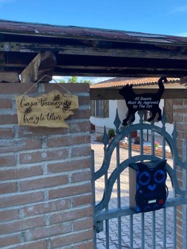 Casa vacanze fra gli ulivi - Poggio Sant'Ercolano