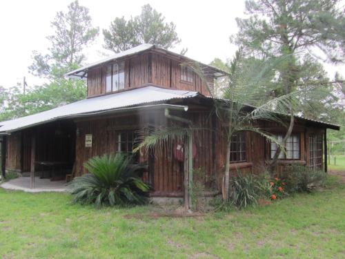 Toad Tree Cabins