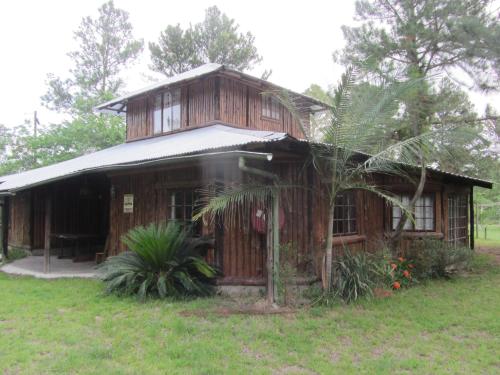 Toad Tree Cabins in Mbazwana