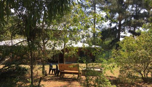 Toad Tree Cabins