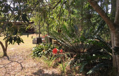 Toad Tree Cabins