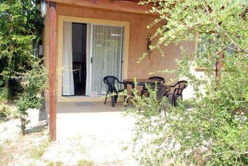 Toad Tree Cabins