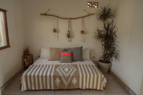 Cien Palmas- Authentic Mexican Casita 2 -Downtown in Todos Santos, Mexico