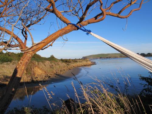 Catlins Newhaven Holiday Park