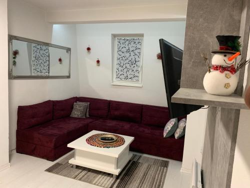 Apartman "HARMONY" Šišava Vlašić (Apartman "HARMONY" Sisava Vlasic) in Šišava