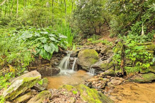 Tree-Lined Cruso Cabin with Game Room and Mtn Views! Tree-Lined Cruso Cabin with Game Room and Mtn Views!
