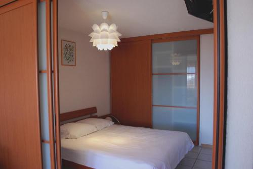 Appartement Terrasse des Alpes 811