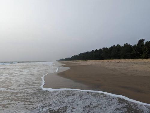 plaža, 1 Bedroom facing paddy fields Pullur, Irinjalakuda in Irinjalakuda