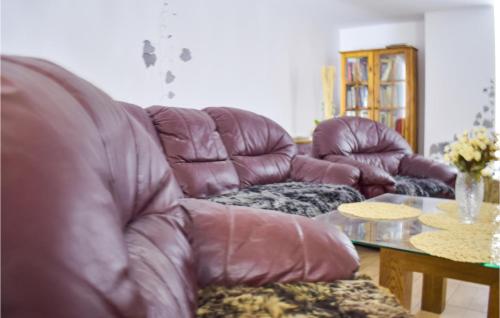 Pet Friendly Home In Sokole Kuznica