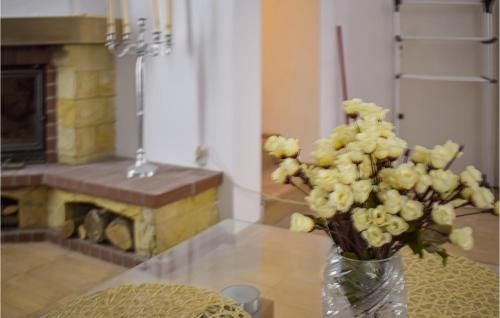 Pet Friendly Home In Sokole Kuznica