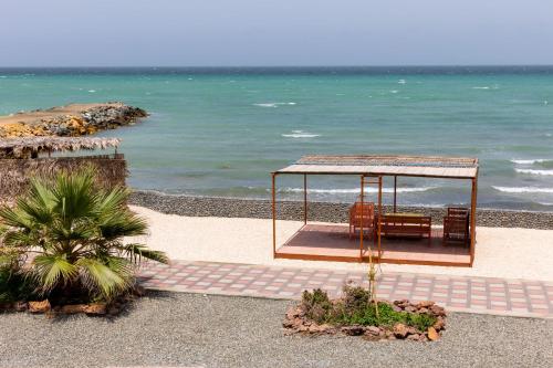 Surrounding environment, استراحة نادي اورجان Orjan Guest House in Hilf
