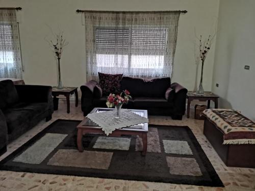 Alice & Andrew Apt. Few Steps to Madaba Old City Center, Madaba (foto 4)
